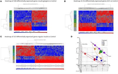 Genome-Wide Analyses Identify Filamin-A As a Novel Downstream Target for Insulin and IGF1 Action